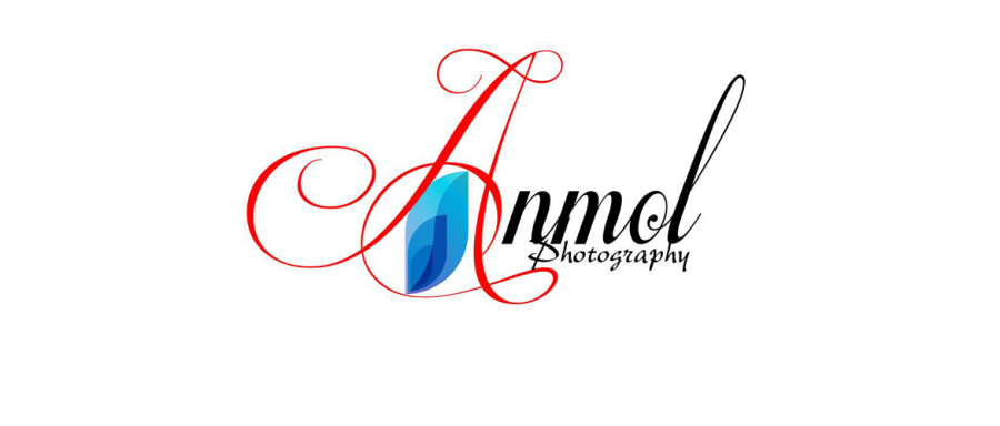 Anmol Projects :: Photos, videos, logos, illustrations and branding ::  Behance